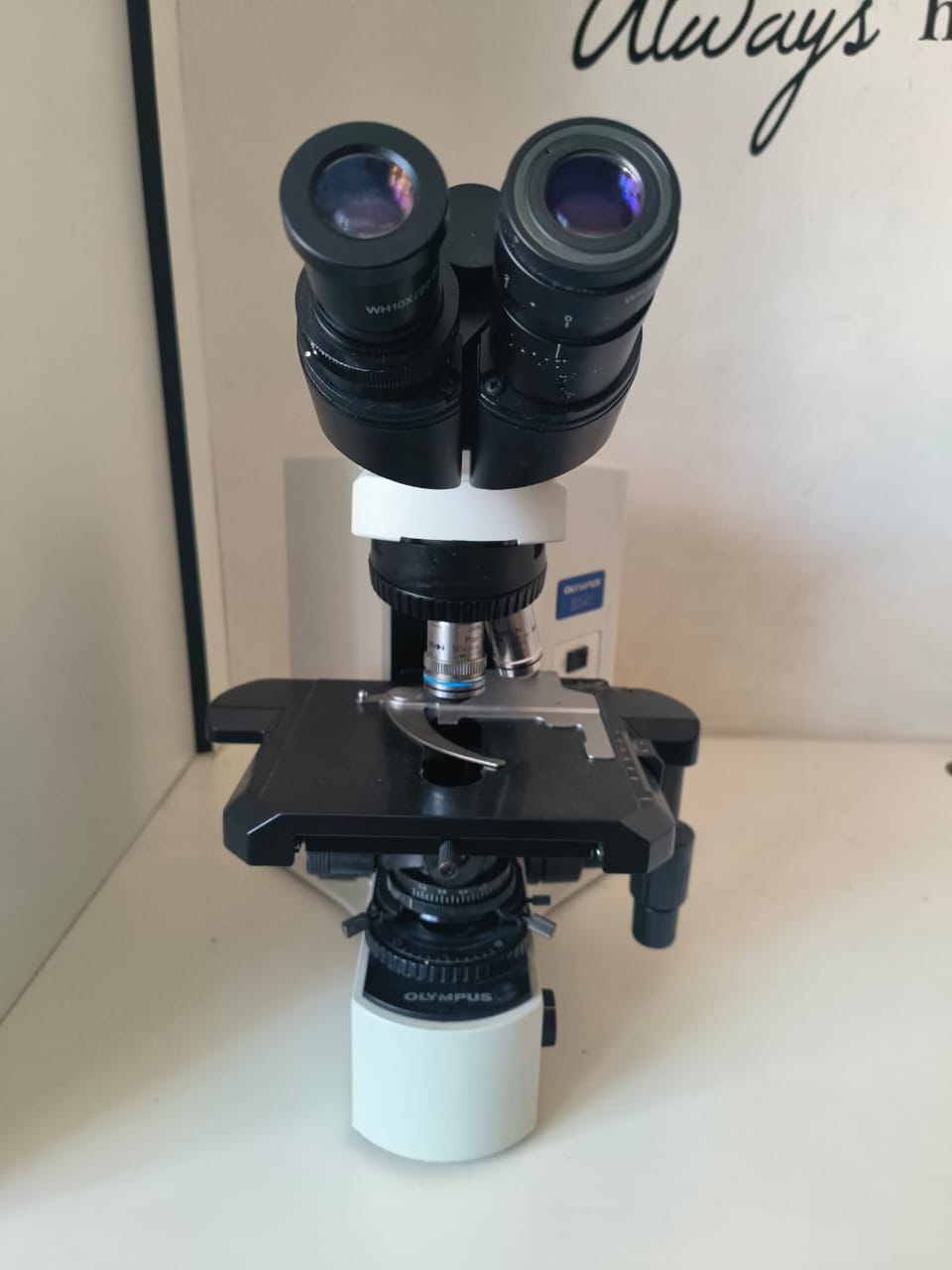 Olympus BX-41 Microscope
