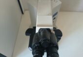 Olympus BX-41 Microscope