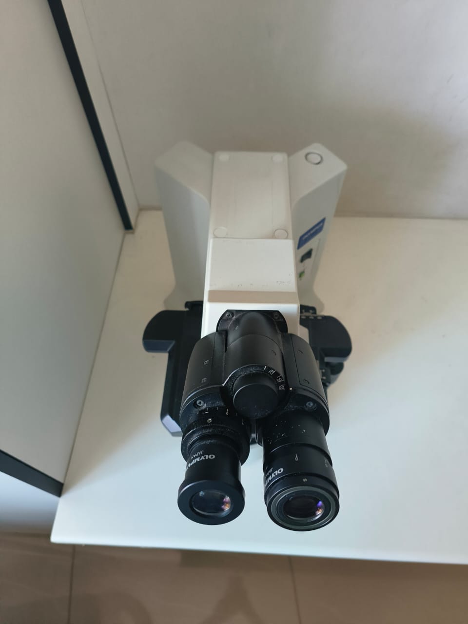 Olympus BX-41 Microscope