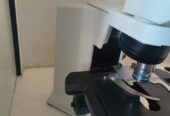 Olympus BX-41 Microscope