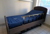Avante Erica Electronic Adjustable Bed (Free Egg Shell Mattress)